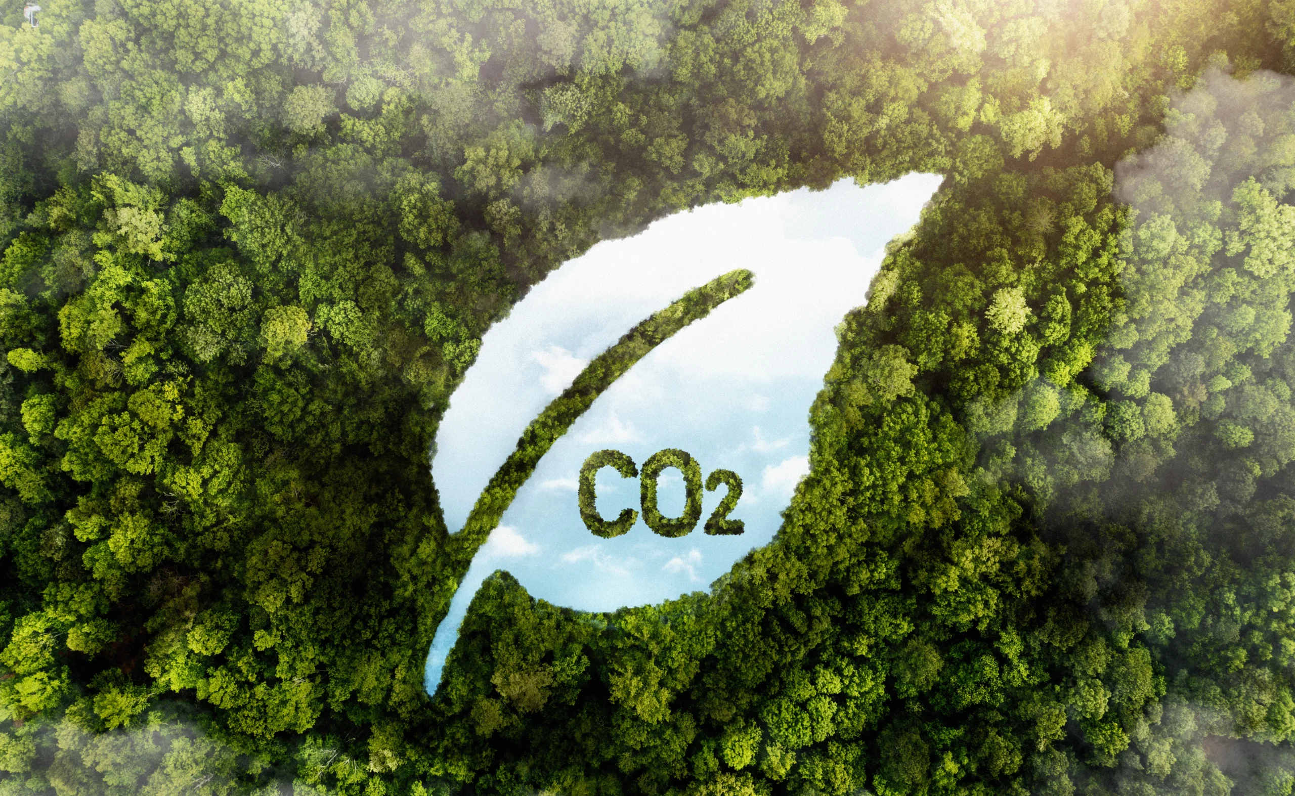Reducing Carbon Footprint